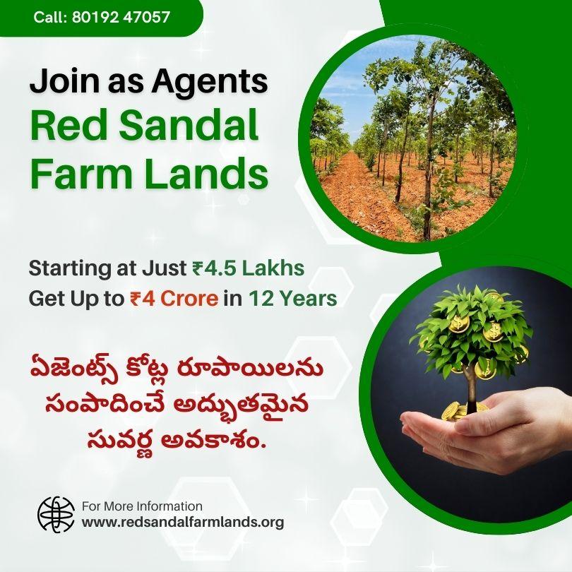Join As Agents - Red Sandal Farm Lands Join As Agents - Red Sandal Farm Lands